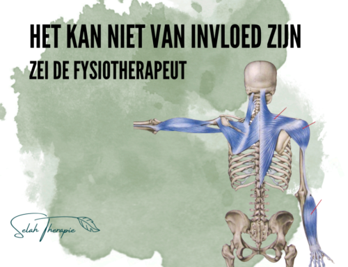 HET KAN NIET VAN INVLOED ZIJN – zei de fysiotherapeut tegen mijn klant.